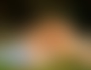 149_2_Outdoors_Sex_on_the_grass_in_Mexico