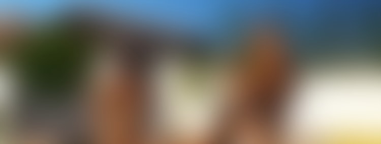 339_First_blowjob_swap_with_Steve_and_Danika_Mori