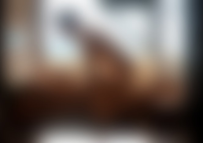 415_Passionate_Sex_in_a_Medieval_Castle