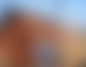 453_Our_last_night_in_Naples_Blowjob_and_swallow