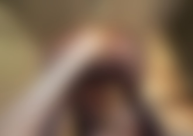 496_Try_on_Haul_after_Shopping_Day